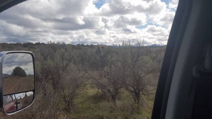 Chainsaw Captain at work